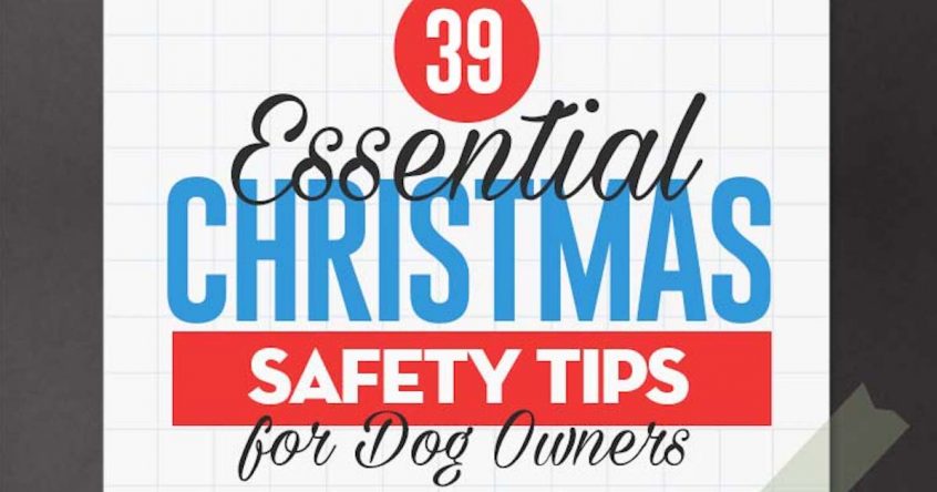 Safety Tips Pets