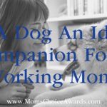 Is A Dog An Ideal Companion For A Working Mom?