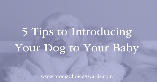 5 Tips to Introducing Your Dog to Your Baby Featured Image