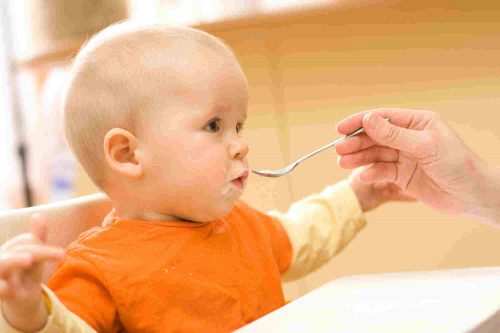 Food Quality Matters Especially for Your Child