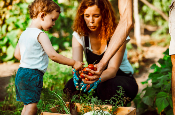 The Health Benefits Of Growing Vegetables With Your Children