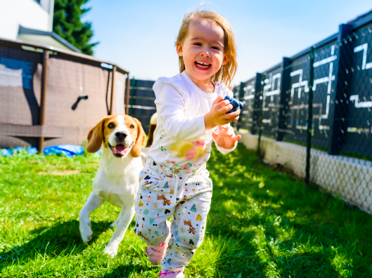 Helping Children Get Over a Fear of Dogs
