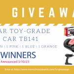 Giveaway: Bezgar Toy-Grade RC Car TB141
