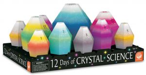 Award-Winning Children's book — 12 Days of Crystal Science