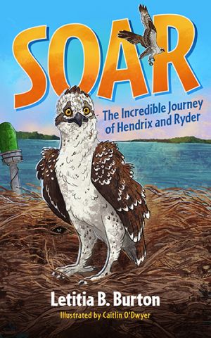 Soar: the incredible journey of Hendrix and ryder